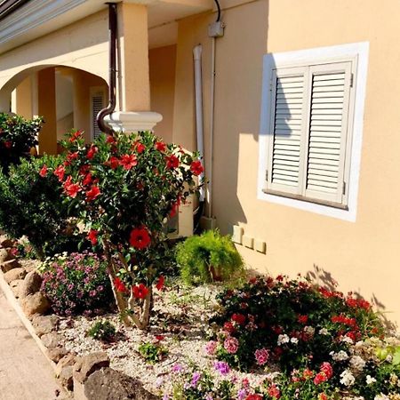 Casa Dolce Hibiscus Apartment Olbia Exterior photo
