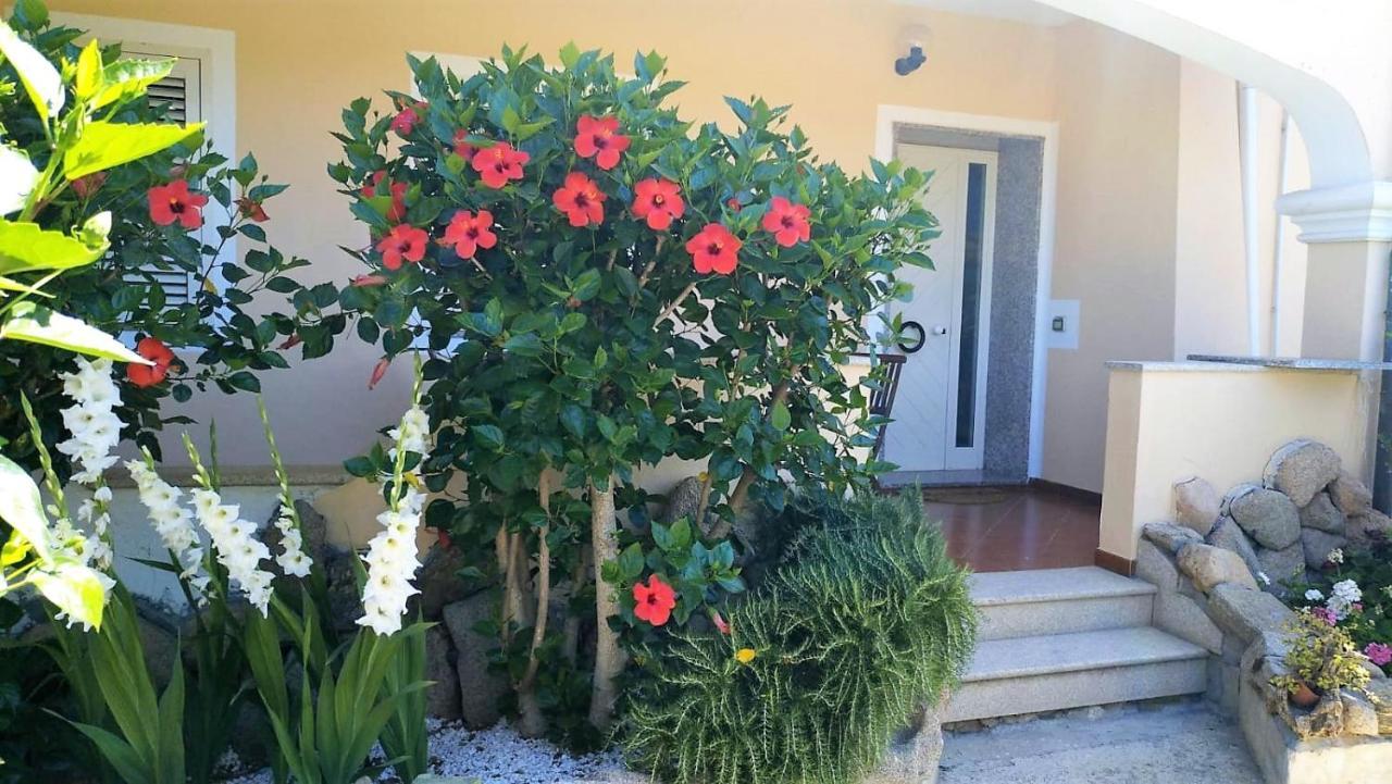 Casa Dolce Hibiscus Apartment Olbia Exterior photo